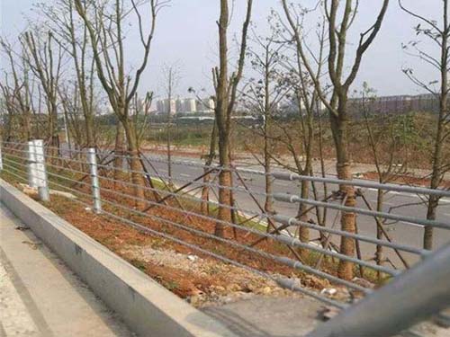 六索缆索护栏