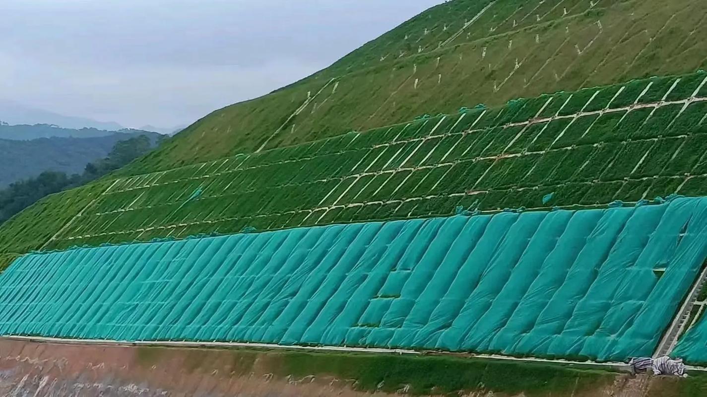 矿山复绿