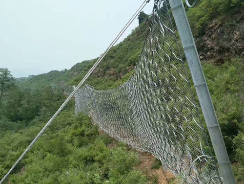 菱形被动防护网